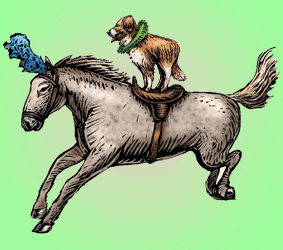dog-and-pony